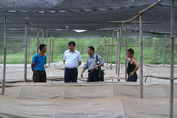 圖片關(guān)鍵詞 圖片關(guān)鍵詞