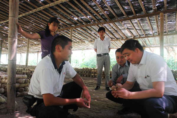 圖片關(guān)鍵詞 圖片關(guān)鍵詞