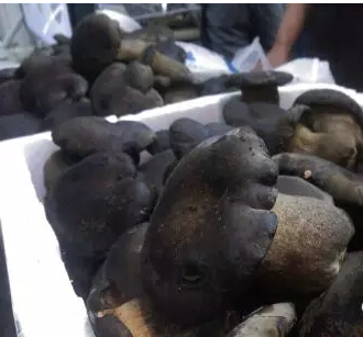 圖片關(guān)鍵詞 圖片關(guān)鍵詞