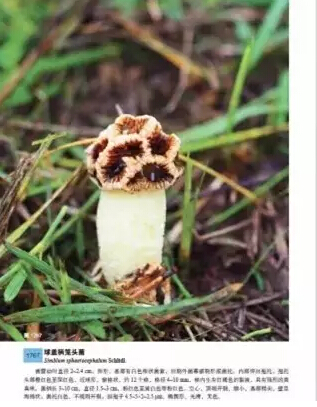 圖片關鍵詞 圖片關鍵詞