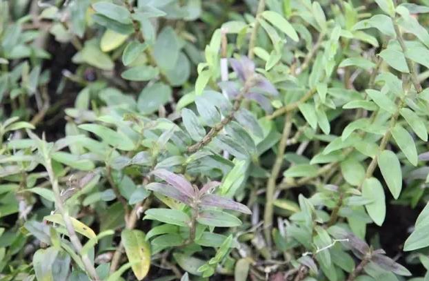 圖片關鍵詞 圖片關鍵詞