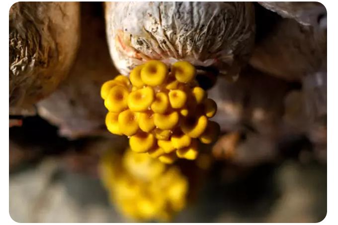 圖片關鍵詞 圖片關鍵詞