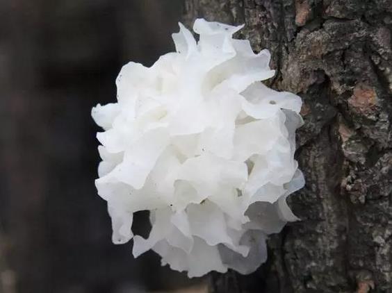 圖片關鍵詞 圖片關鍵詞