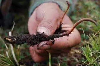 圖片關(guān)鍵詞 圖片關(guān)鍵詞