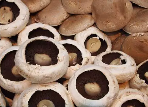 圖片關鍵詞 http://m.cawic.com.cn/ewebeditor/uploadfile/20170914091257506001.png