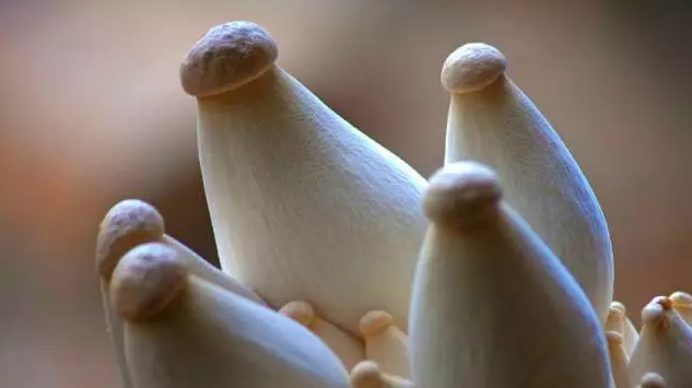 圖片關鍵詞 http://m.cawic.com.cn/ewebeditor/uploadfile/20170914091357269001.png