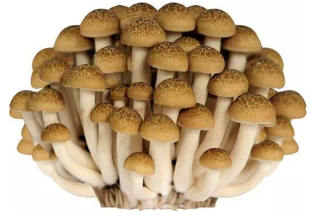 圖片關鍵詞 http://m.cawic.com.cn/ewebeditor/uploadfile/20170914091421667001.png