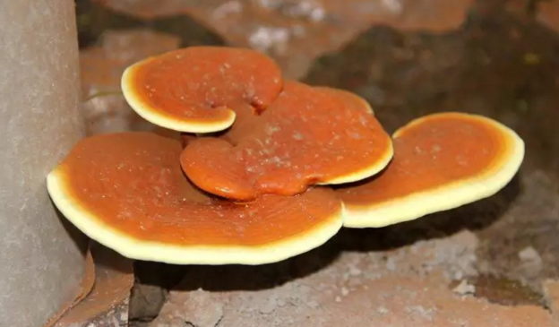 圖片關鍵詞 圖片關鍵詞