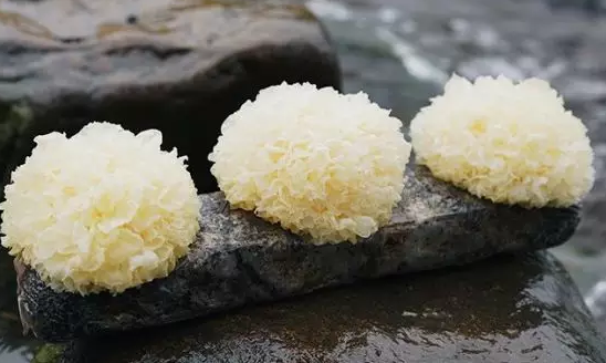 圖片關(guān)鍵詞 http://m.cawic.com.cn/ewebeditor/uploadfile/20180328092751720001.png