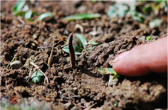 圖片關鍵詞 http://m.cawic.com.cn/ewebeditor/uploadfile/20180921101313325001.png