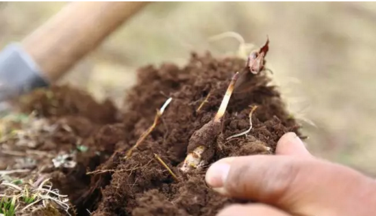 圖片關鍵詞 http://m.cawic.com.cn/ewebeditor/uploadfile/20180921101228689001.png