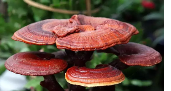 圖片關鍵詞 圖片關鍵詞