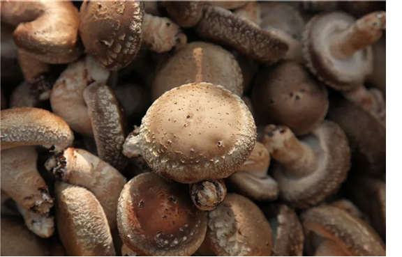 圖片關鍵詞 圖片關鍵詞