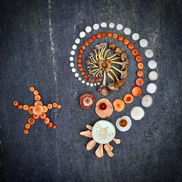 圖片關鍵詞 http://img1.jiemian.com/jiemian/original/20171123/151141528990893600_a580xH.jpg