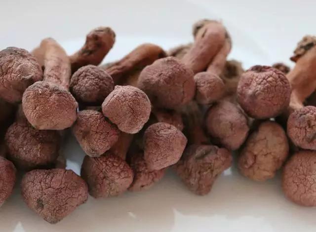 圖片關鍵詞 國家蘑菇地理:中國哪里的蘑菇最好吃?