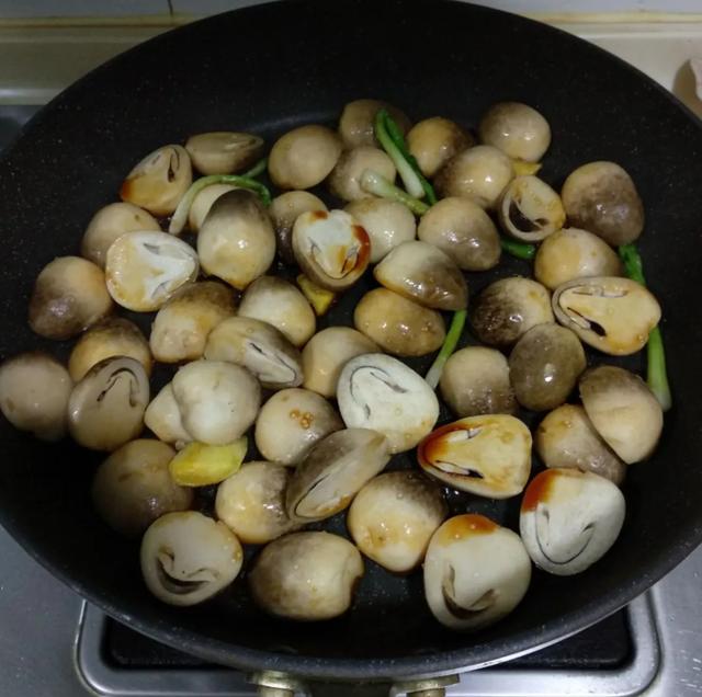 圖片關鍵詞 國家蘑菇地理:中國哪里的蘑菇最好吃?