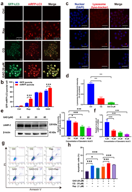圖片關鍵詞 https://mmbiz.qpic.cn/mmbiz_png/tViaTicjwibVZnnuxTI0eMzfuPJd8DTSZHDp5tPfaEh4E0MKurh2TEDl85EczLPQH2ch2tsE2nicR38OASP1qqOrKw/640?wx_fmt=png