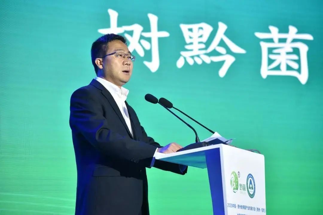 圖片關鍵詞 https://mmbiz.qpic.cn/mmbiz_jpg/tViaTicjwibVZmgEXXCALToc7mAB2rFo1LncQUQa6P80qvCuxZove6RwbiaY7eQBvIk0RmoxJGmfVeXdL0losp7Llg/640?wx_fmt=jpeg