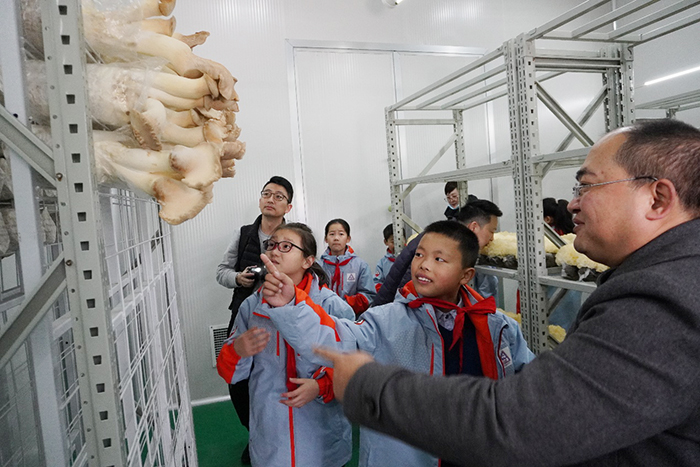 圖片關鍵詞 圖片關鍵詞