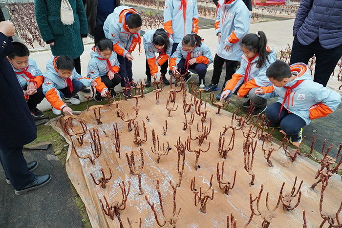 圖片關鍵詞 圖片關鍵詞