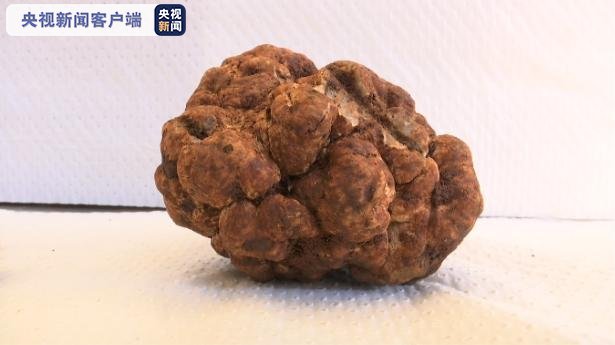 圖片關鍵詞 圖片