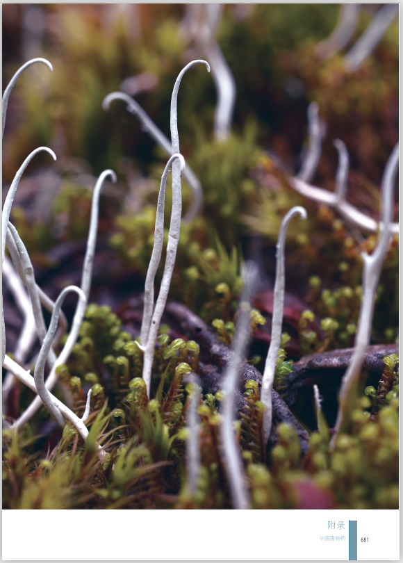 圖片關鍵詞 圖片