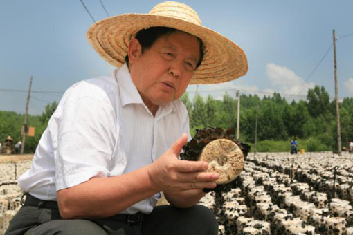 圖片關鍵詞 圖片