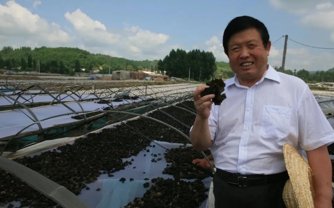 圖片關(guān)鍵詞 圖片