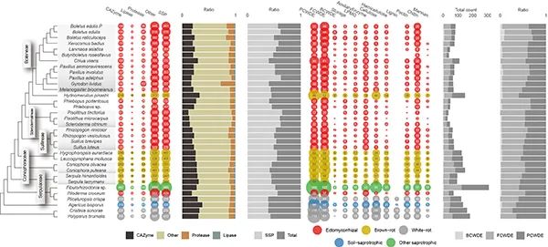 圖片關鍵詞 圖片