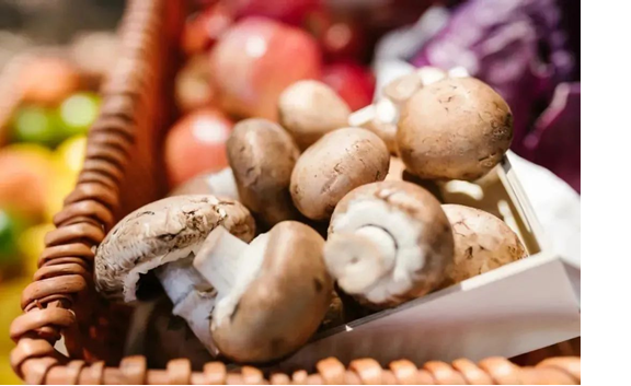 圖片關(guān)鍵詞 圖片關(guān)鍵詞