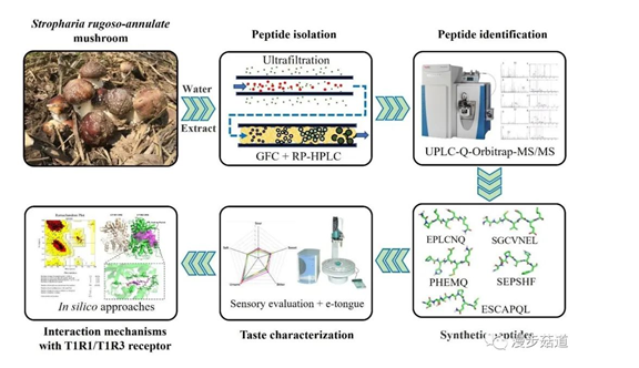 圖片關鍵詞 圖片關鍵詞