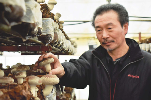 圖片關鍵詞 圖片關鍵詞