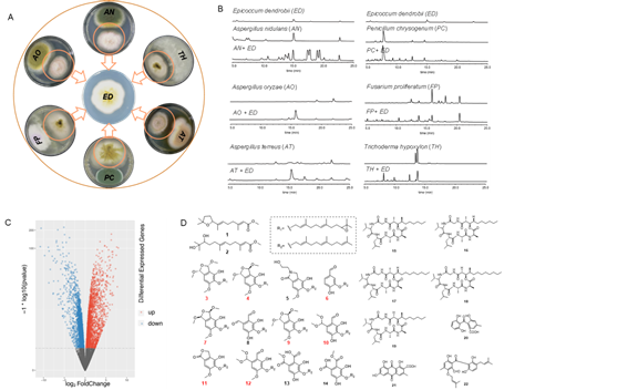 圖片關鍵詞 圖片關鍵詞
