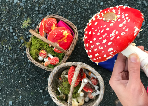 圖片關鍵詞 圖片關鍵詞