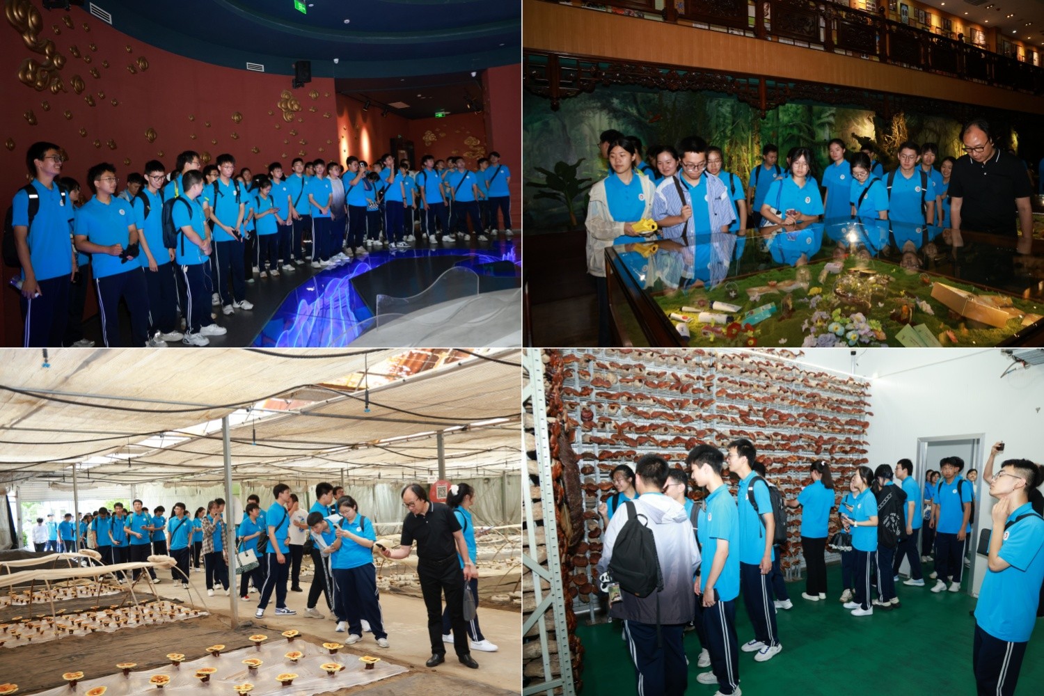 圖片關鍵詞 圖片關鍵詞