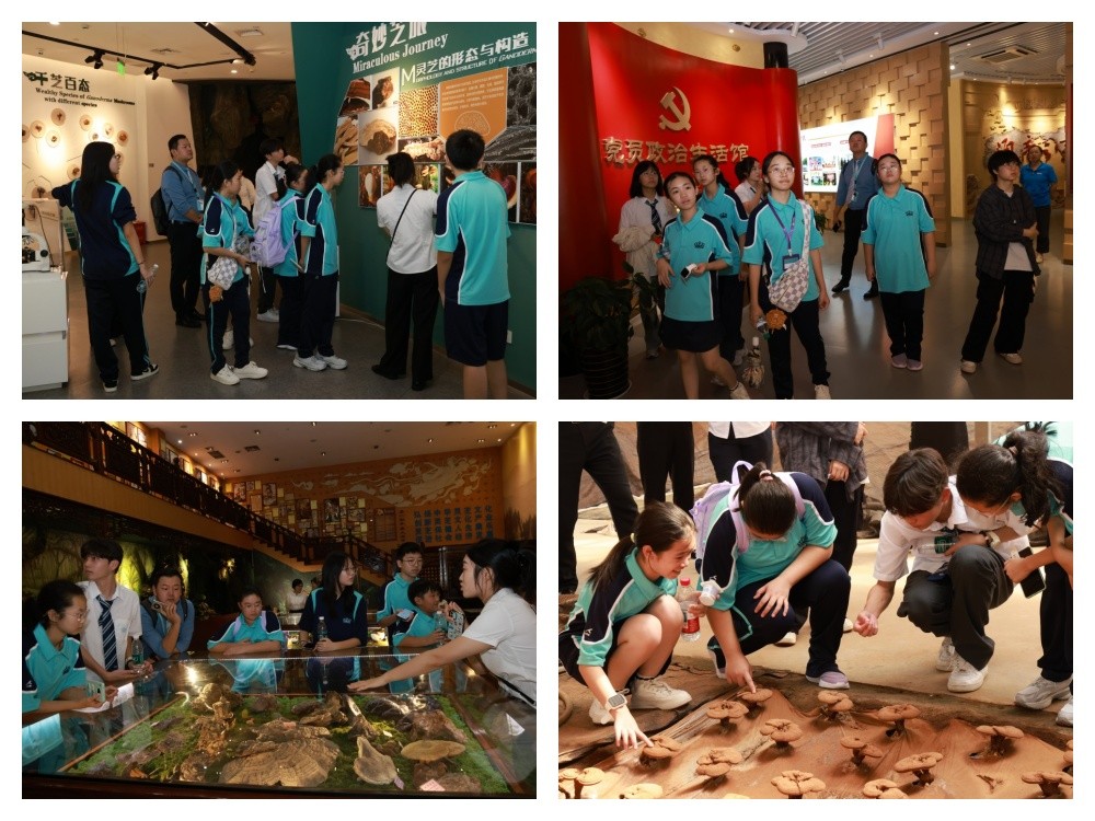 圖片關鍵詞 圖片關鍵詞