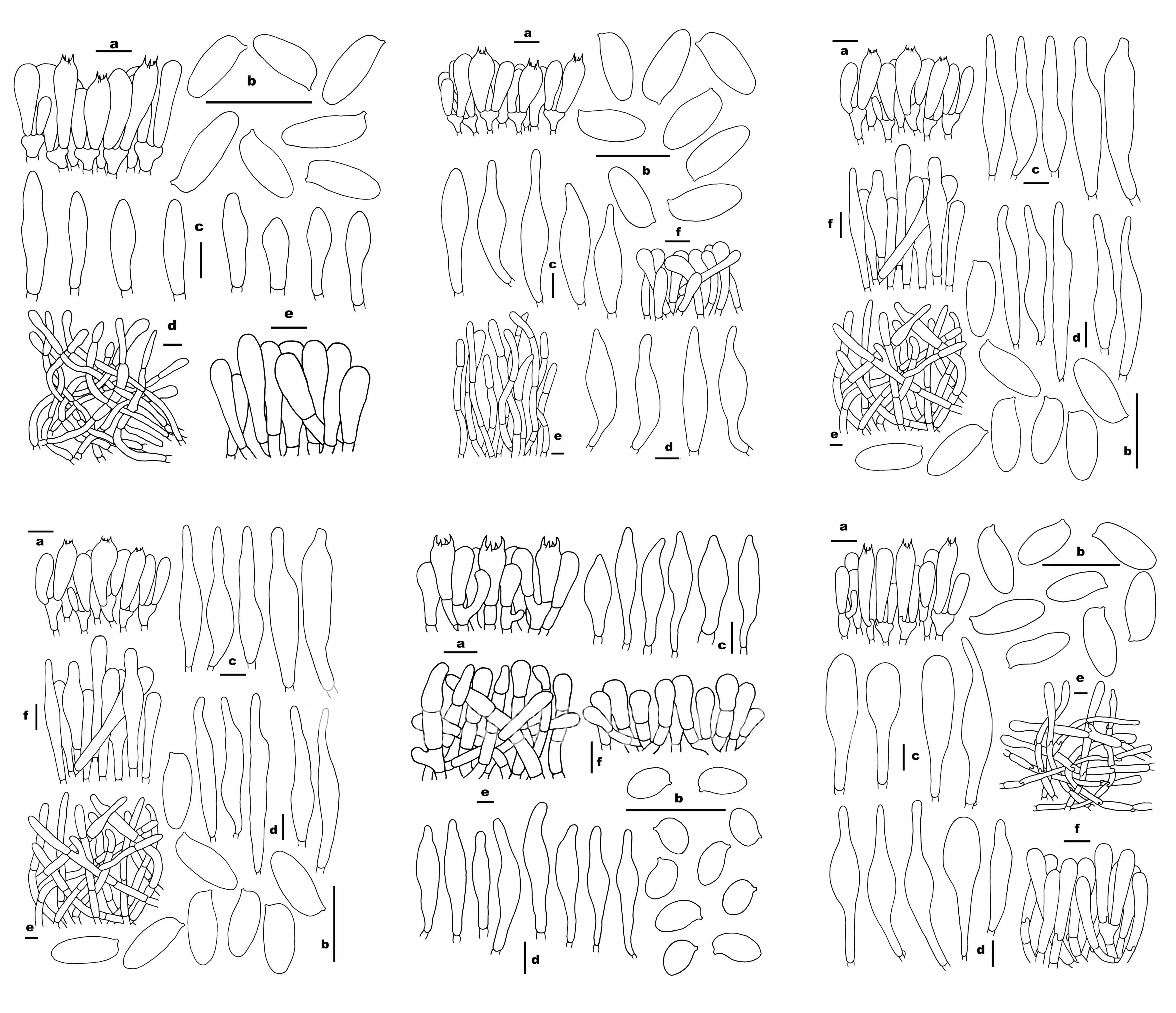圖片關(guān)鍵詞 圖片關(guān)鍵詞