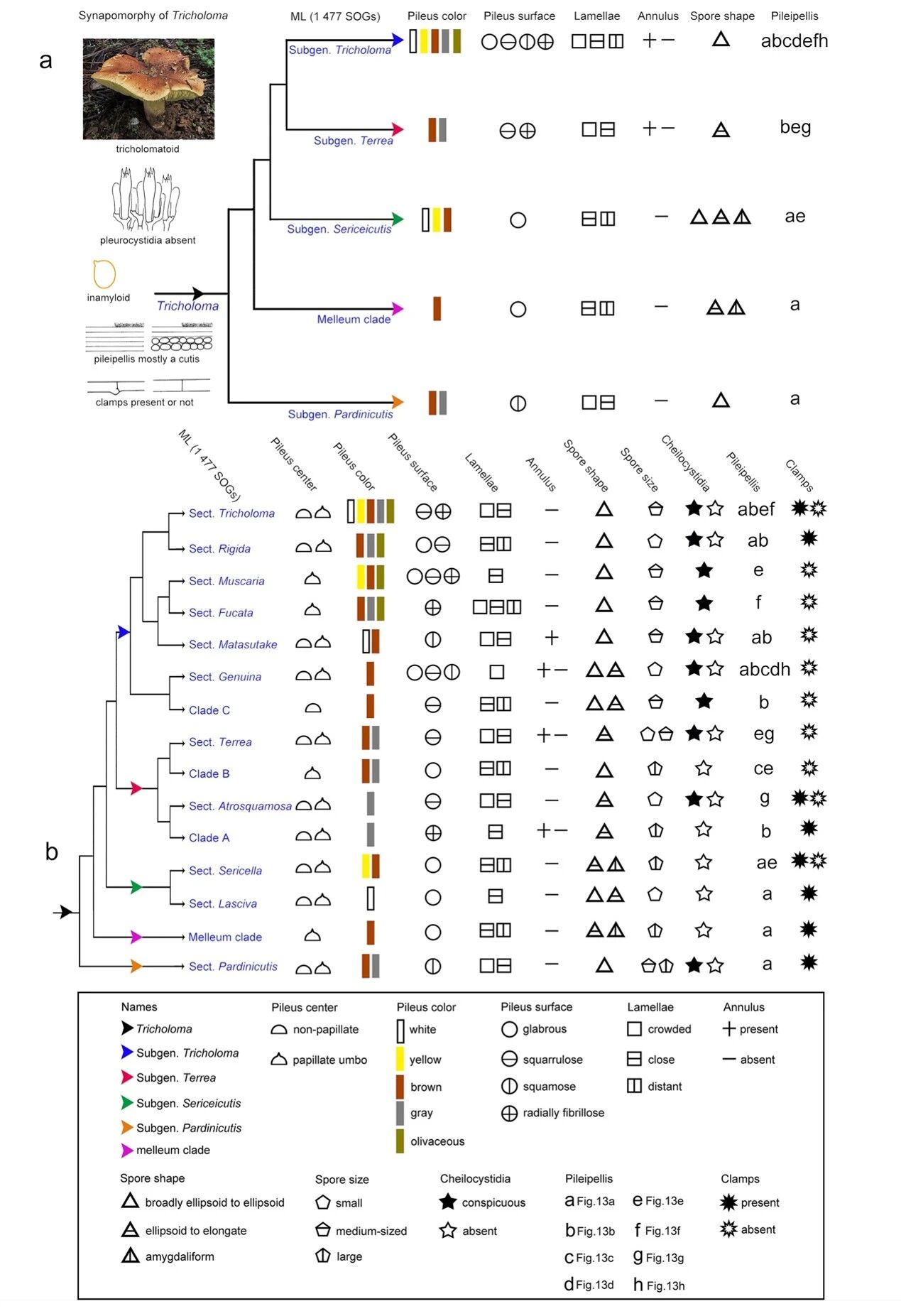 圖片關鍵詞