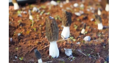 行業(yè)動(dòng)態(tài)